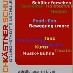 Digitaler Info-Abend Wahlpflichtfächer 7/8