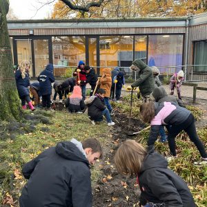 image0 Grundschulkinder pflanzen den Frühling